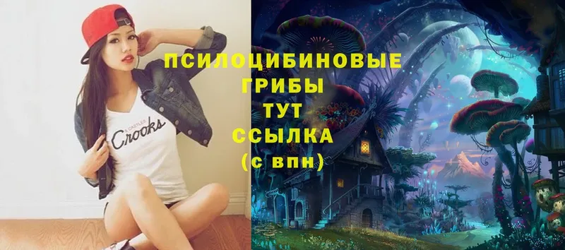 Псилоцибиновые грибы Magic Shrooms  Тольятти 